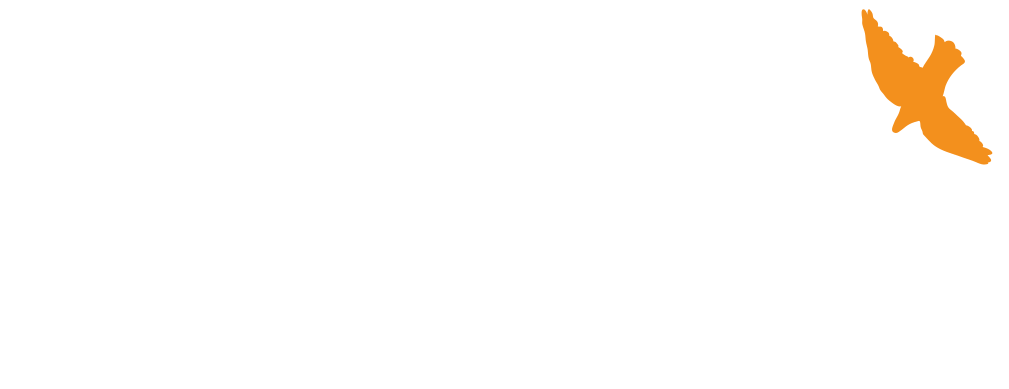 Odoo • Image and Text